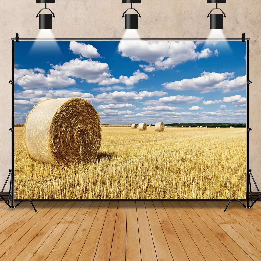 Laeacco Sunlight Rural Wheat Fields Hay Bale Harvest Portrait Scene Photography Backdrops Photo Backgrounds Studio Photocall