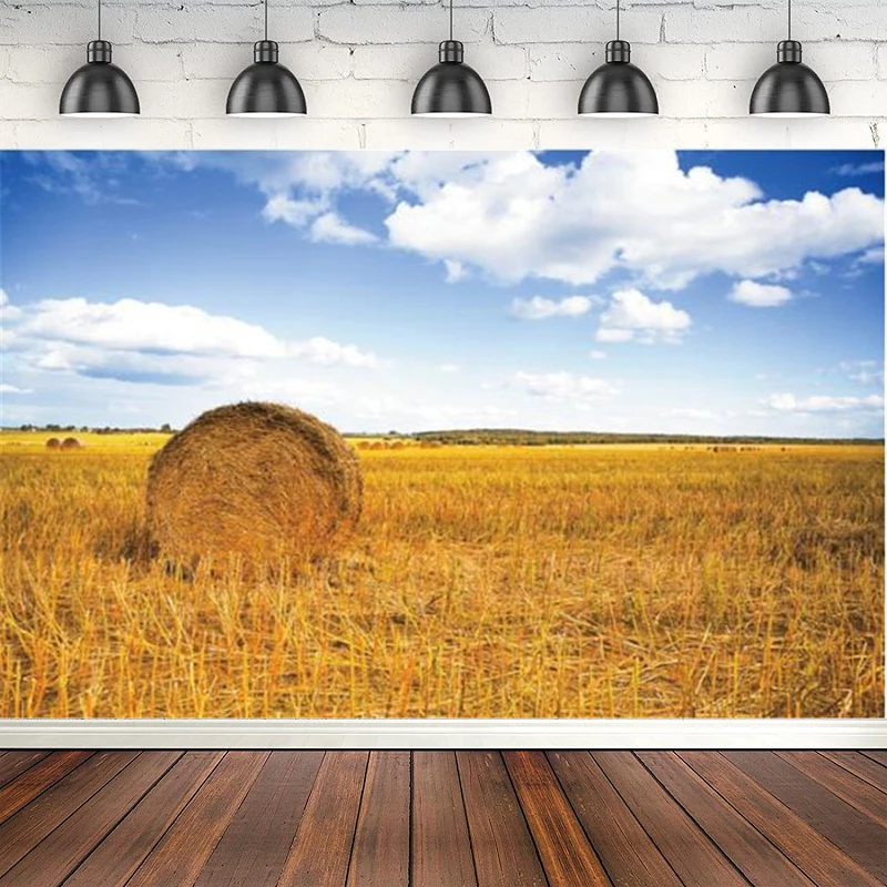 Autumn Scene Photography Backdrop Golden Farm Haystack Baby Portrait Poster Photographic Background For Photo Studio Banner