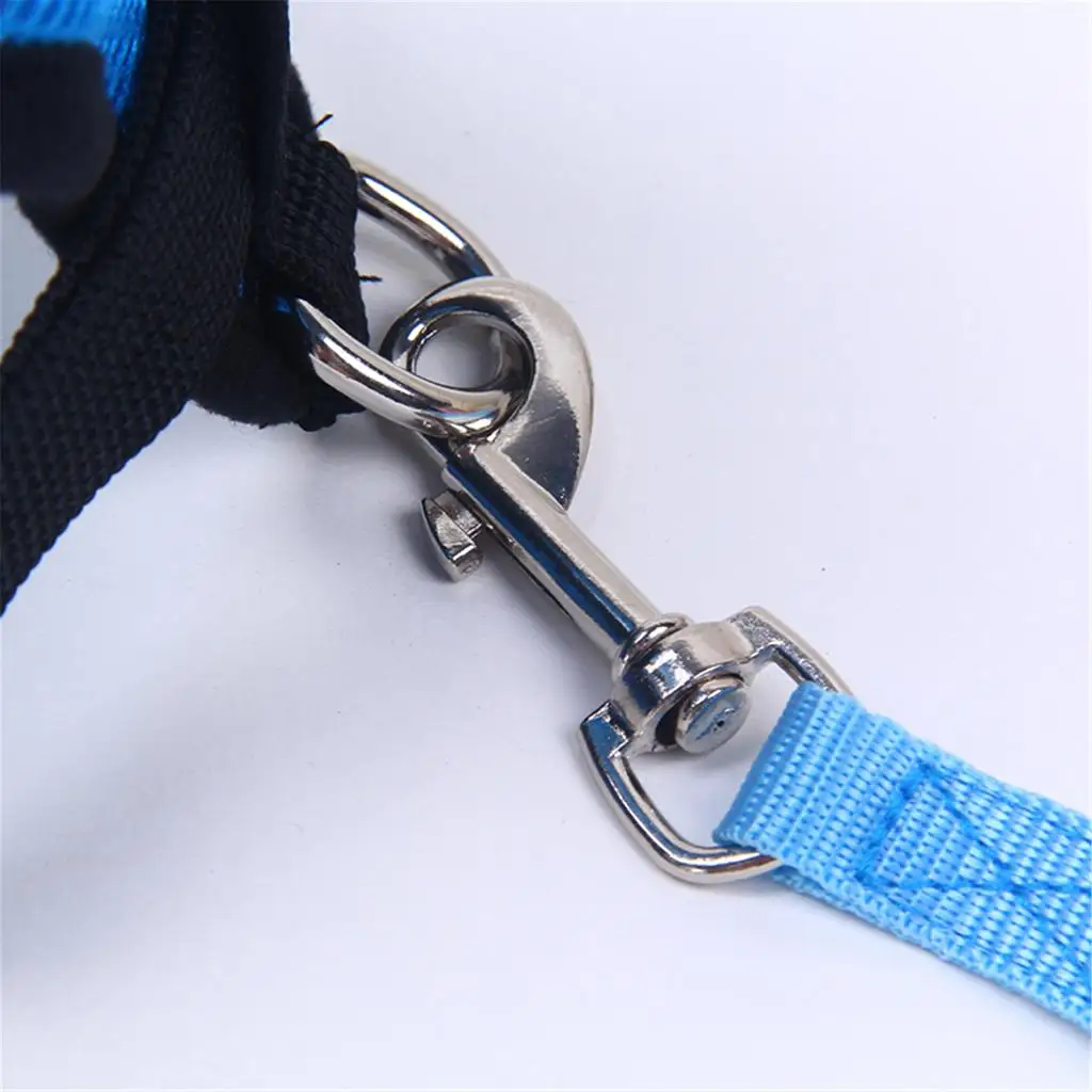 Lightweight Dog Walking Vest Harness with Lead Rope for Puppies Small Dogs Soft Breathable Mesh Pet Training Gear