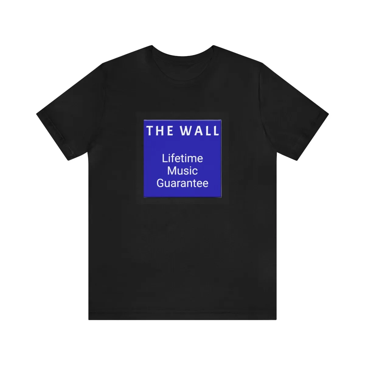 

The Wall Lifetime Music Guarantee Defunct T-Shirt Record CD Store