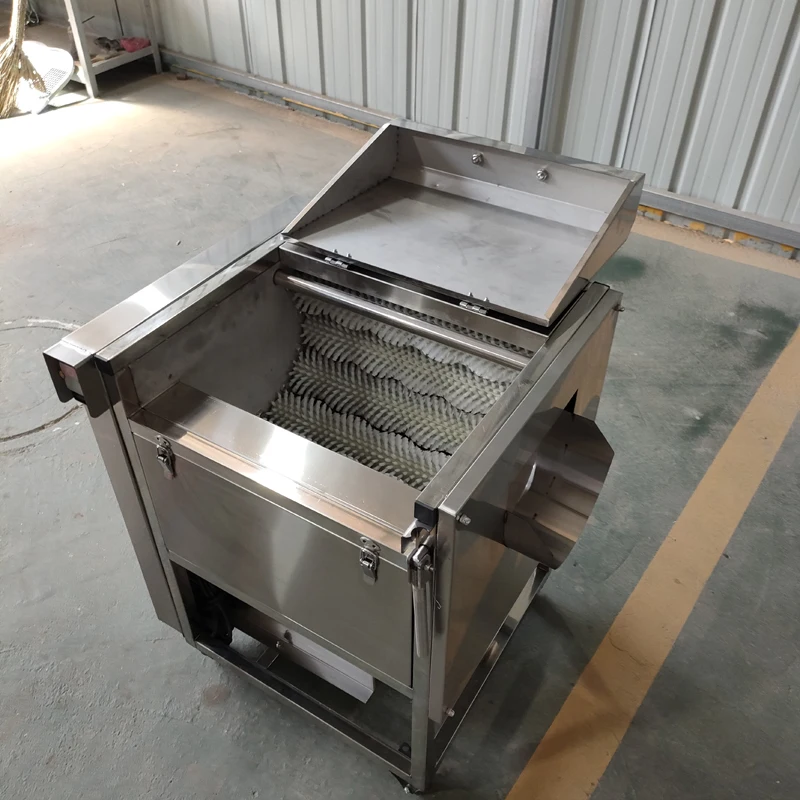 2025New Commercial 200 Capacity Vegetable Fruit Washing Peeling With Brusher Cleaning Potato Machine Stainless Steel 304