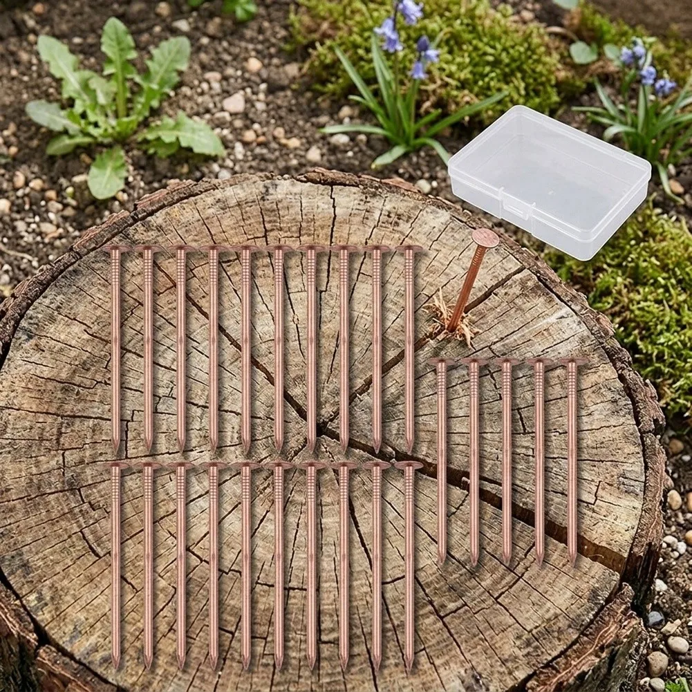3 Inch Copper Nails For Tree Stump Killing Removal Spikes Hardware Garden Tool