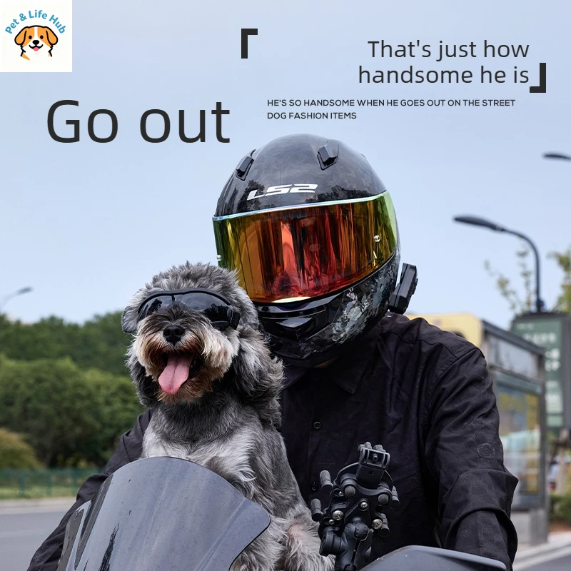 Pet dog sunglasses, windproof and UV-proof goggles, small dog going out sunscreen glasses, dog travel decorations