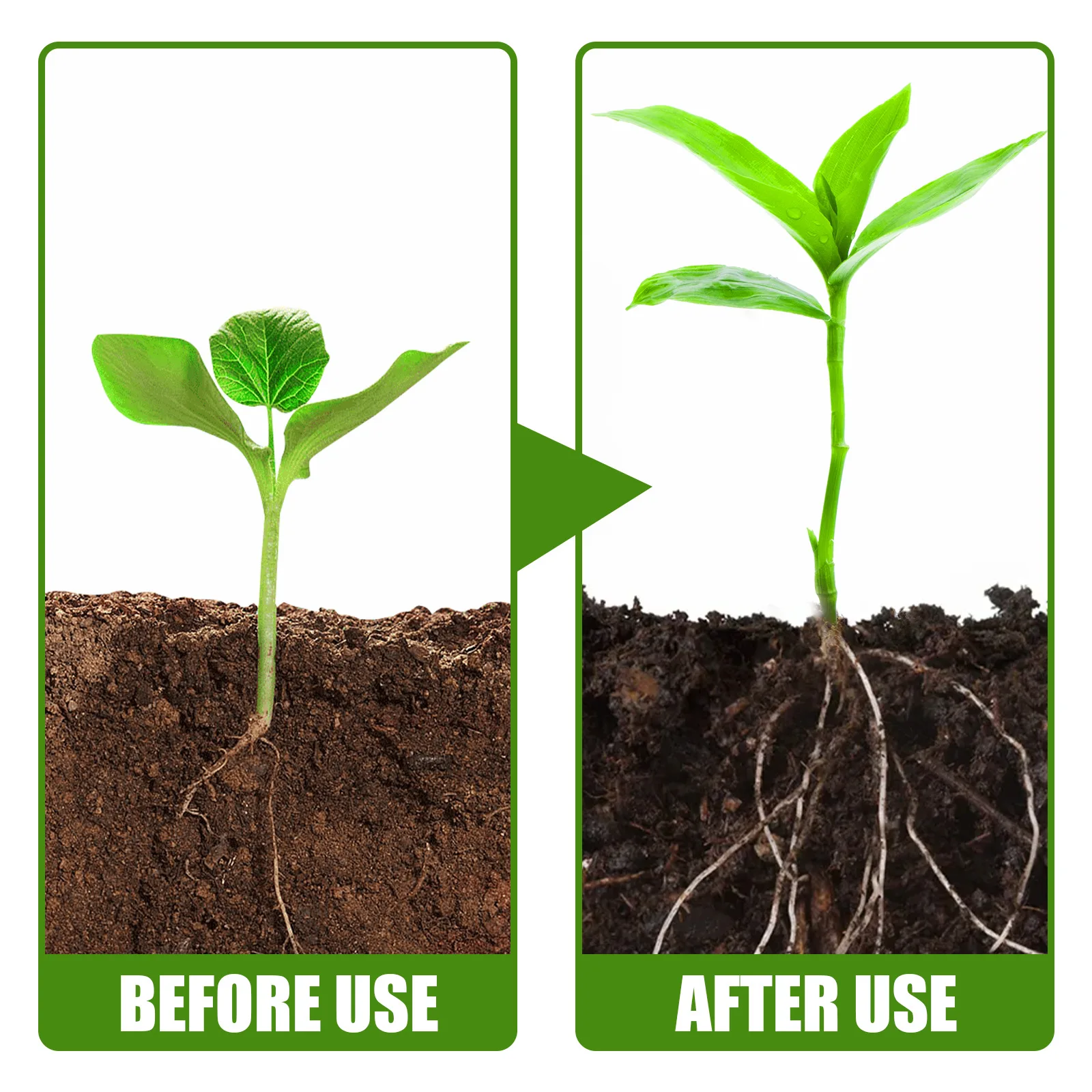 1Rare Plant Rooting Powder Plant Fruit Flower Rapid Rooting Nutrition Hydroponics Garden Nutrition Plant Growth Rooting Powder view 3