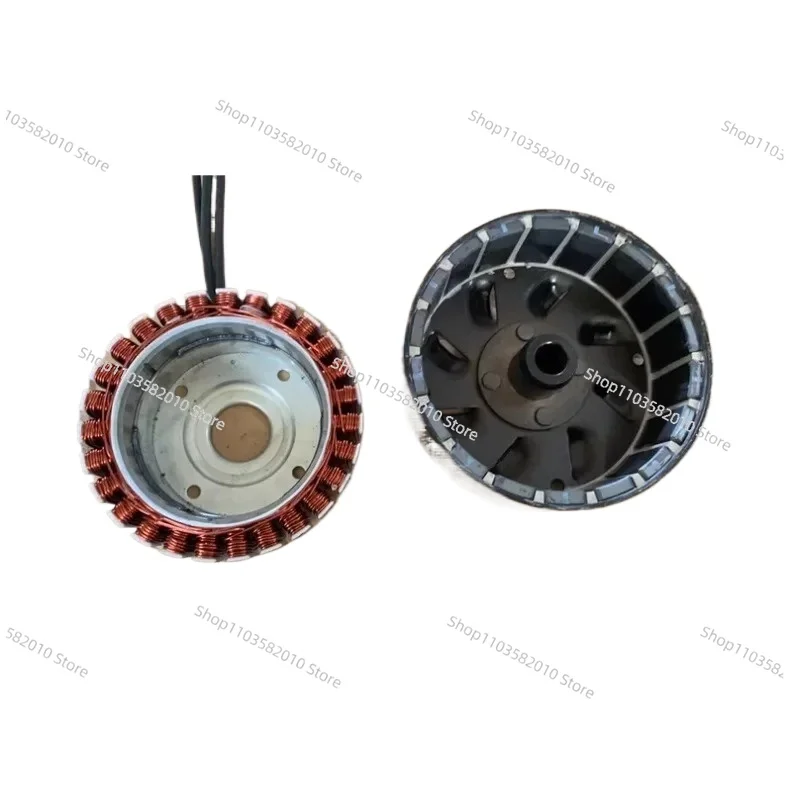 Generator Conversion Kit for Flat-Crankshaft Engines, Stator & Rotor Assembly for Water Pumps & Threshers