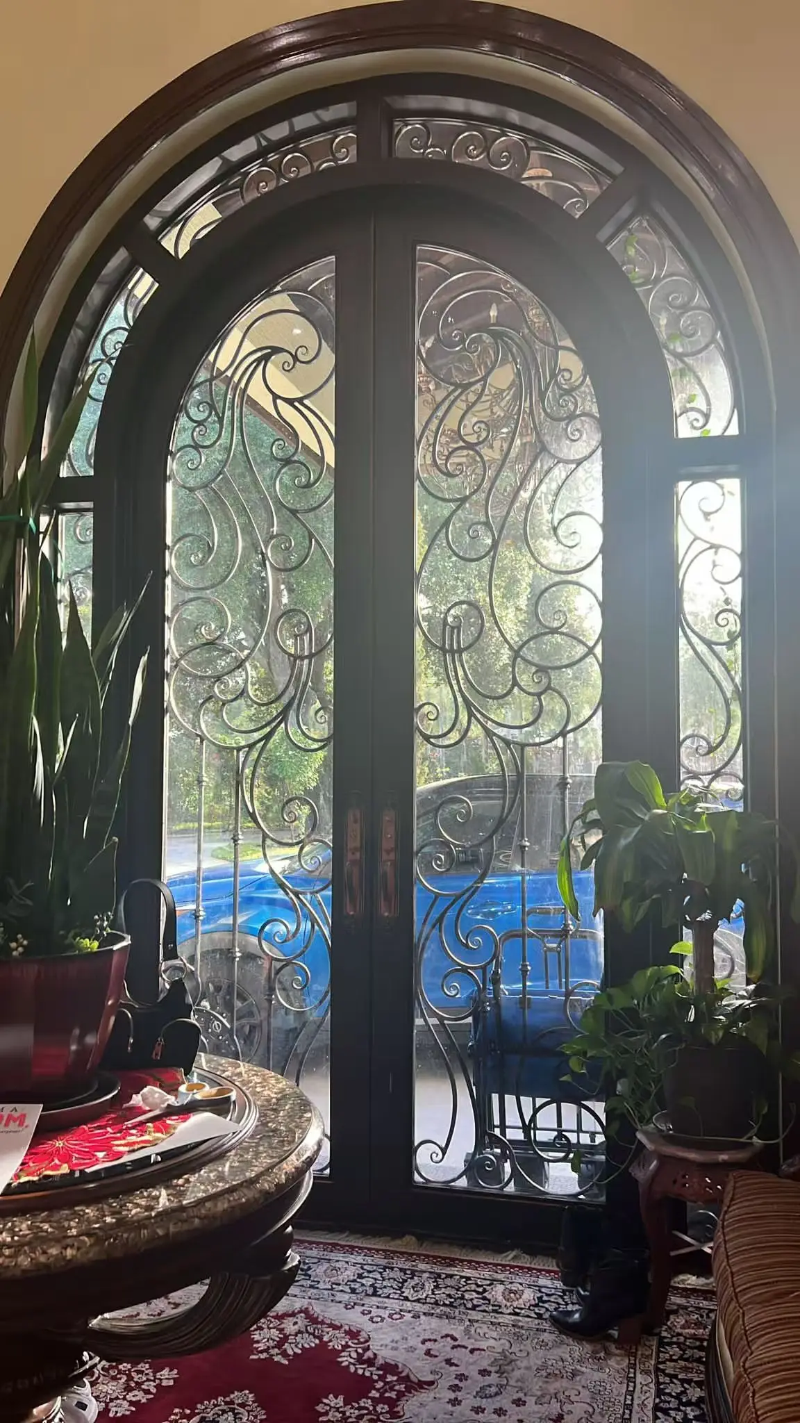 French Front Pivot Iron Door Modern Wrought Iron Double Doors Safety Glass