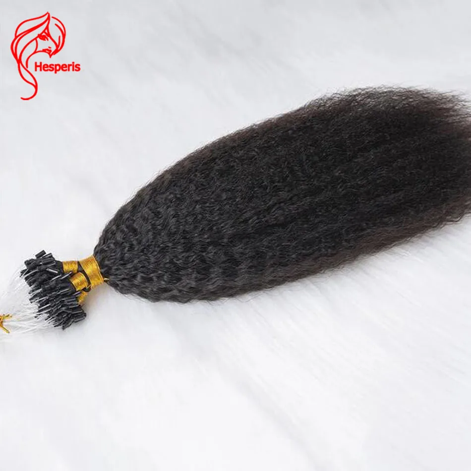 Hesperis 100 Strands/Pack Kinky Straight Micro Loop Hair Extensions For Black Women Human Hair Ombre Microlinks Hair Extensions