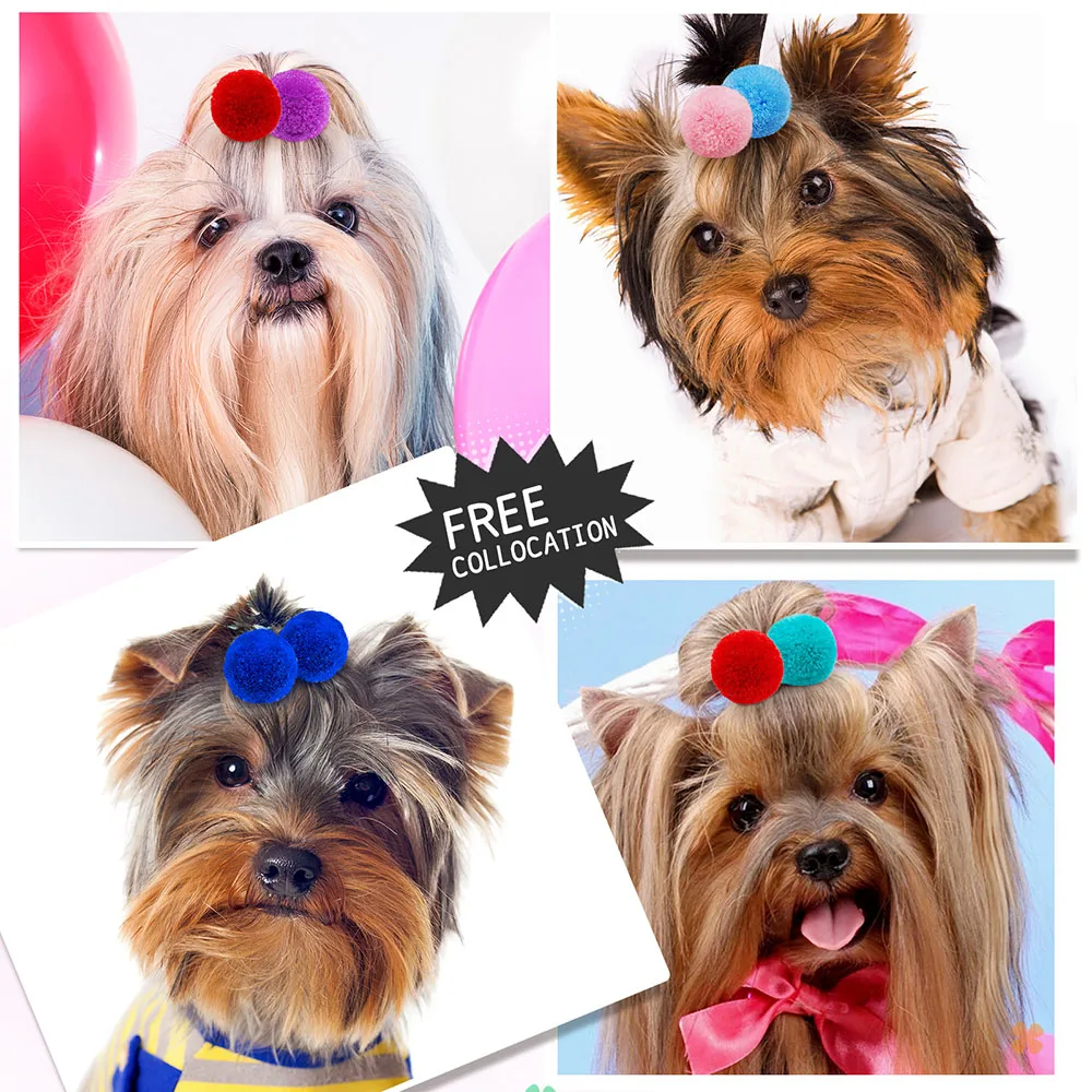 Pet Dog Hair Bows Colorful Ball Hair Bows Pet Accessories for Small Dog Cute Dog Grooming Bows Bulk Pet Accessories Supplier