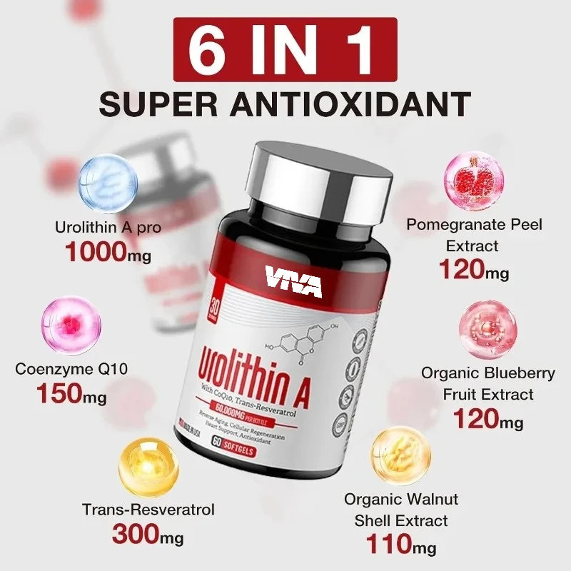 Urolitin A Capsules 1000mg are antioxidants containing resveratrol coenzyme Q10, used for energy production and healthy aging