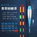 D T11