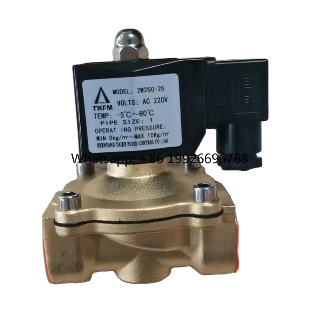 

Tkfm DN08 Port Brass Solenoid Control Valve for Steam Water Oil Gas