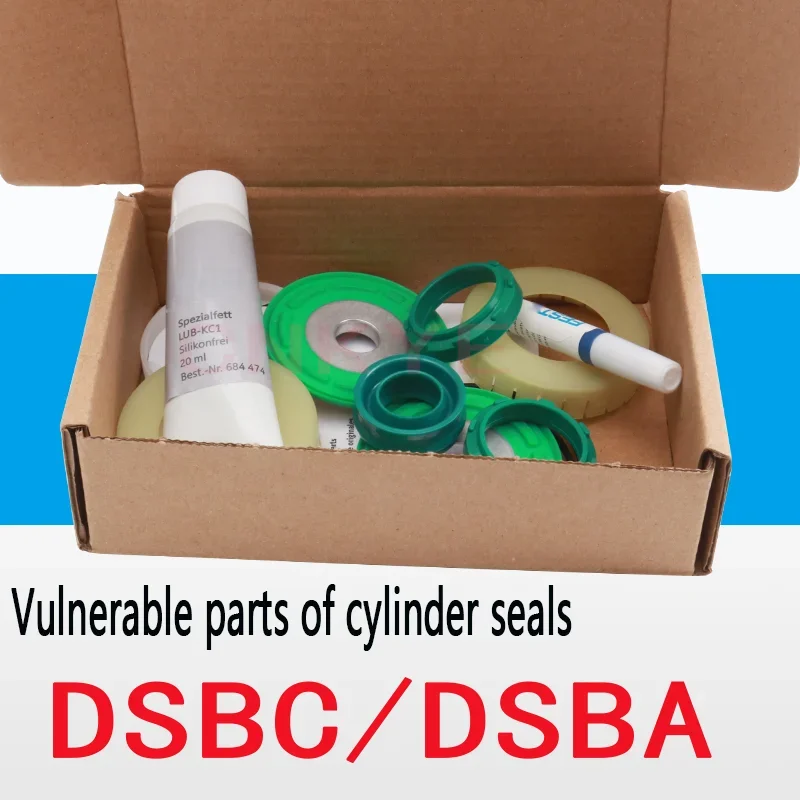 

Vulnerable parts of cylinder seals DNCB DSBA DSBC-32-40-50-63-80-100-125-PPVA-N3 DSBC/G- 40- -753089 DSBC/G- 80- - 753089 DNCB