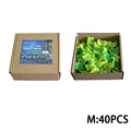 M 40PCS