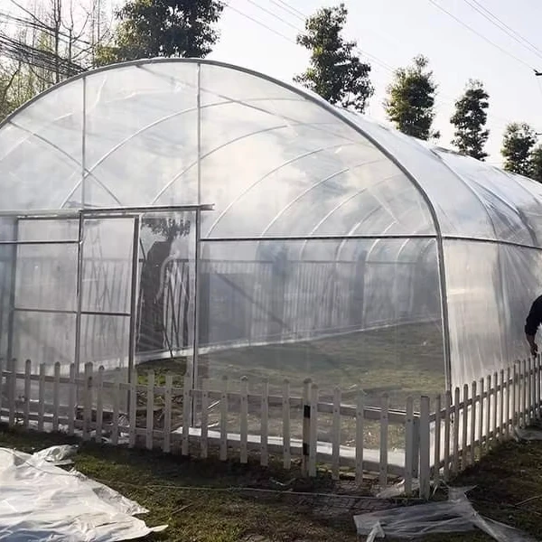 

Customized greenhouseLow-Cost Tomato Greenhouse Plastic Film | Single-Span Tunnel Structure | Easy Installation & After-Sale Sup