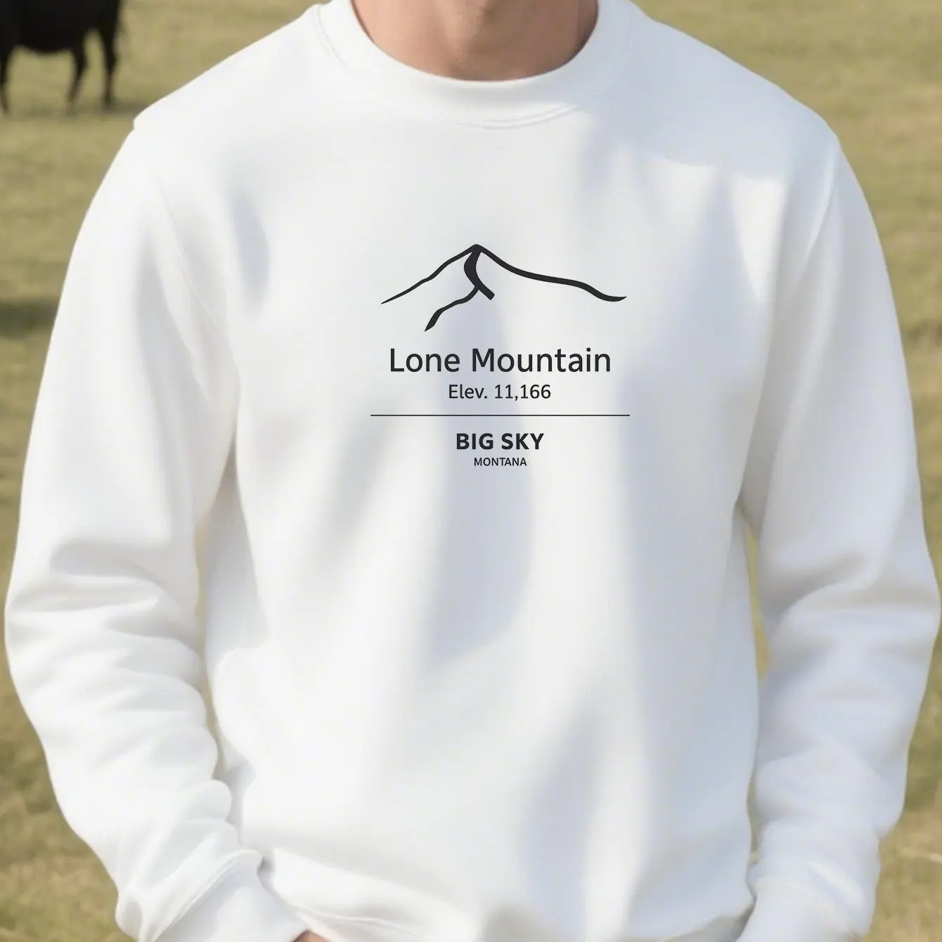 

Простые горные графические принты, осенние и зимние мужские и женские толстовки, повседневные свободные уличные спортивные тренировки