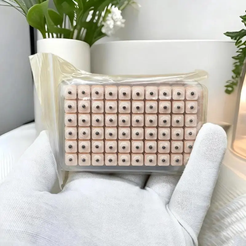 600 Stück/Beutel Auricular Auriculotherapie Vaccaria Ohr-Akupunktur Massage-Therapie Nadel-Pflaster Samen-Aufkleber – Detail 1