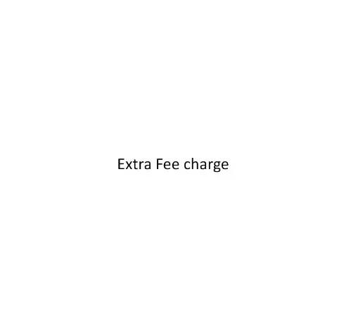 

Extra Fee charge 41