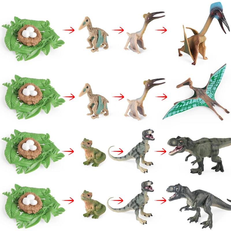 

Oenux 4pcs Jurassic Pterosauria Tyrannosaurus Rex Baby Dinosaur Growth Cycle Animasl Model Action Figures Education Kid Toy Gift