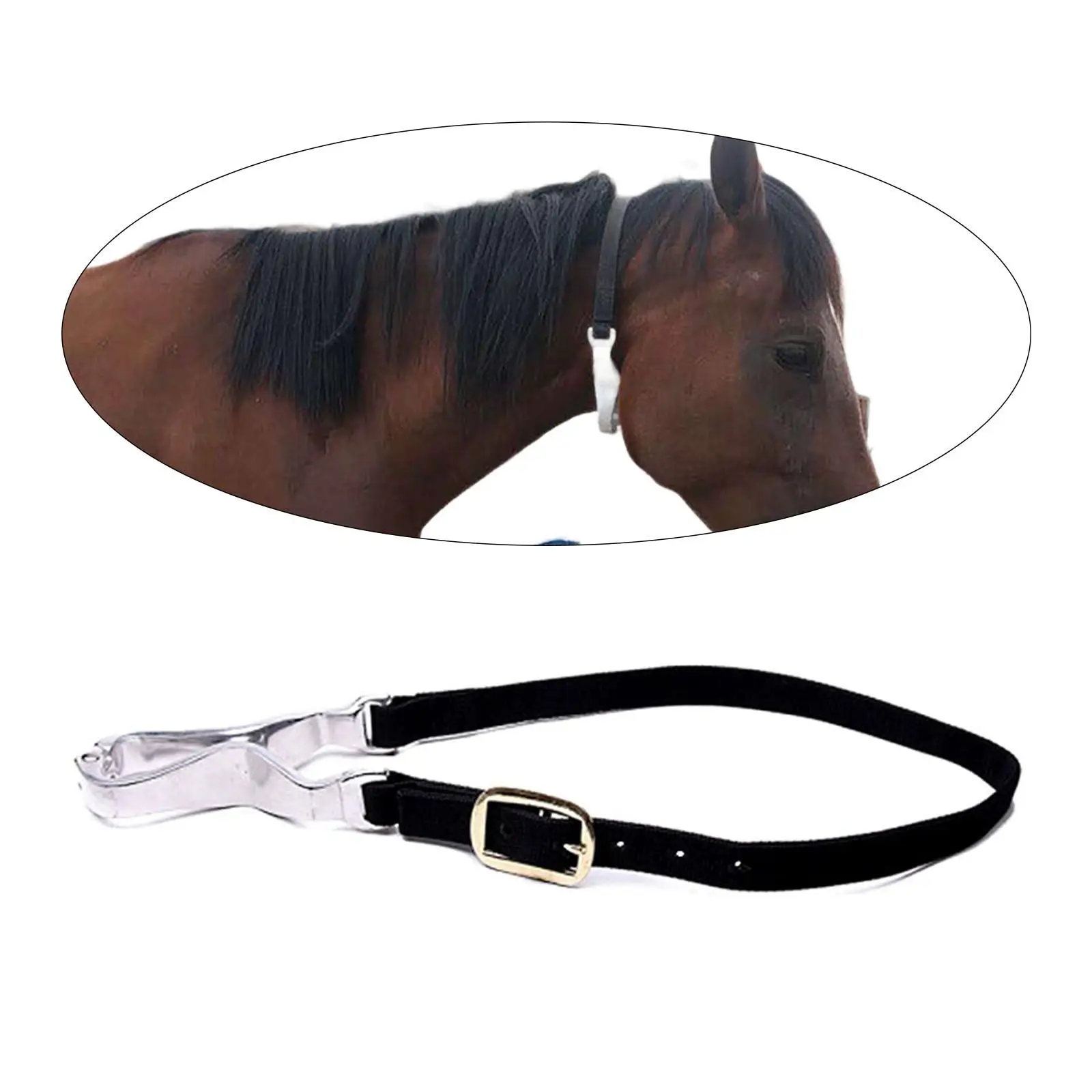 

Horse Throat Clip Professional Sturdy Horse Care Tool for Riding and Turnout