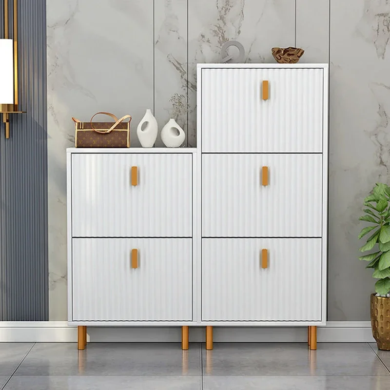 Luxury Nordic Shoe Cabinet Storage Dustproof Narrow Storag Contain Furniture Living Room Articulos Para El Hogar Storag Box