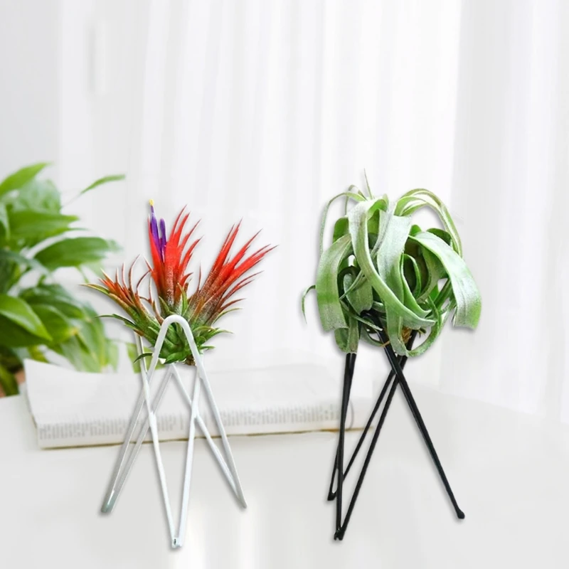 Air Plant Holder Metal Flower Pot Stand Geometric Iron Tillandsia Holder Art Display Home Garden Ornaments