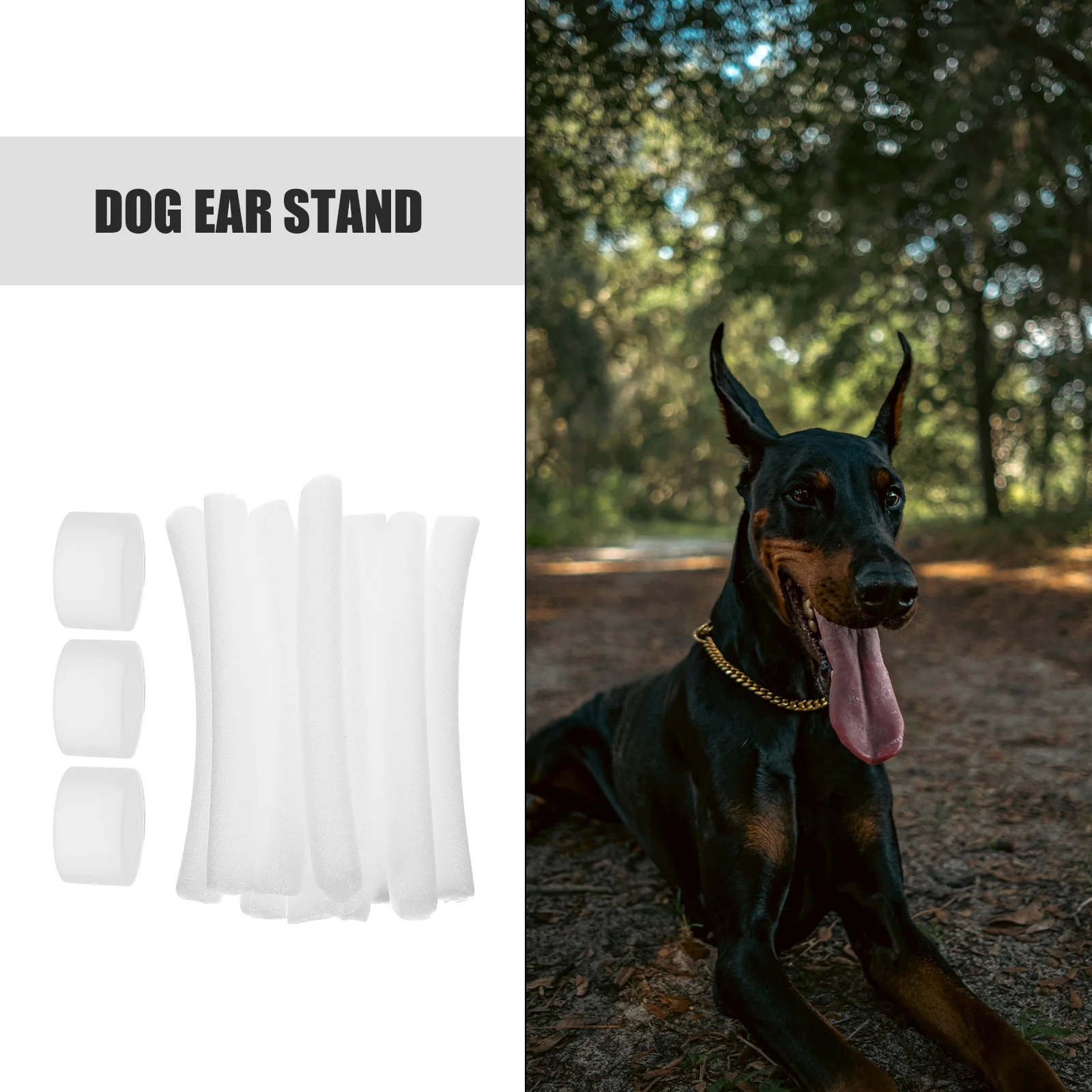 10 Pcs Large and Small Puppy Ear Erecting Device Dog Stand Tool Standing Big Accessory Fixed Rod Foam Support