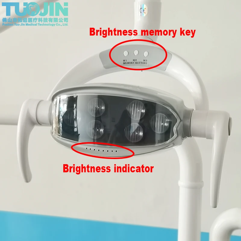 Dual Color Dental Oral Lamp Shadowless 6 Bulb Medical Examination Light Source for Dental Practice