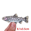 PE19051CT
