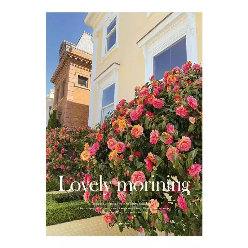 French Town Poster Stickers European Architecture Flower Wall Photography Caf é Atmosphere Decoration Stickers Room Decoration
