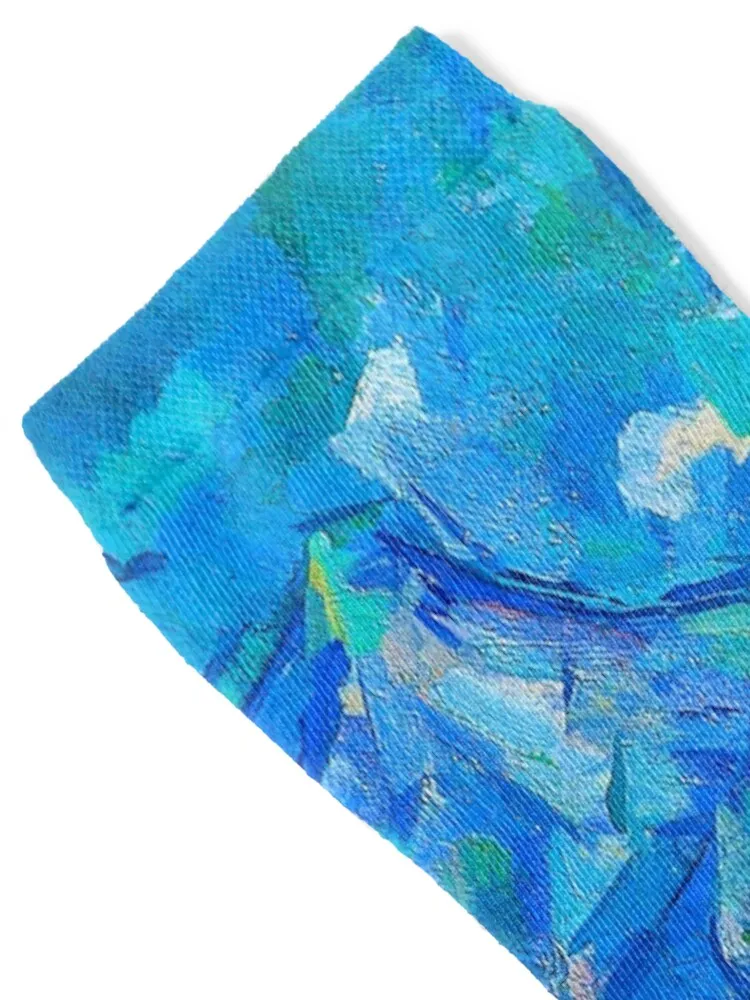 HD PAUL CEZANNE - جوارب Mont Sainte-Victoire لكرة القدم الهيب هوب بالجملة جوارب للسيدات للرجال