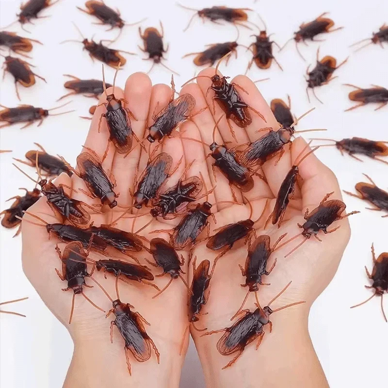 Lifelike Fake Cockroach Toy Simulation Roach Bug Halloween Haunted House Decor April Fools Prank Joke Props for Party Favor Toys