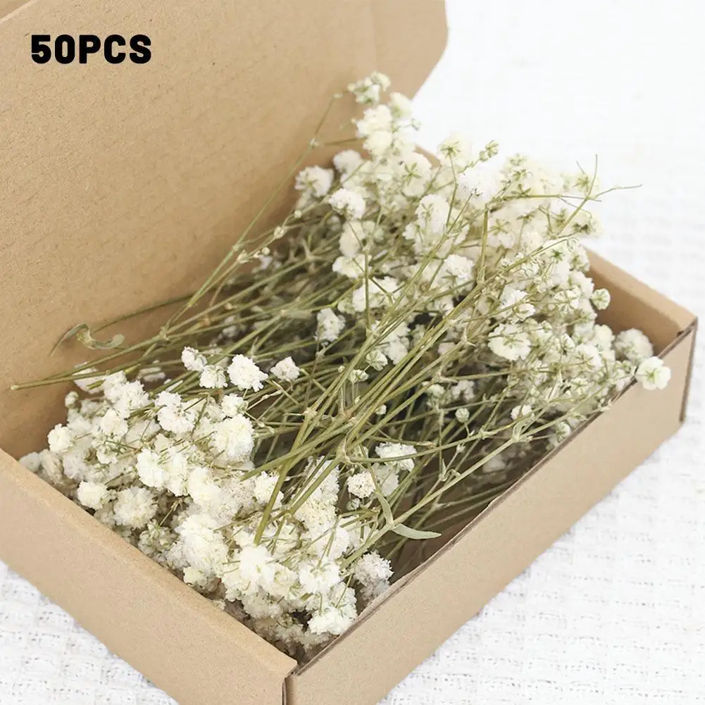 50 Stück Mini getrocknete Schleierkrautblumen für Harz, Basteln, DIY, Zuhause, Hochzeit, Dekoration, echte Haptik, Gypsophila, kleines Bündel, verschönertes Geschenk
