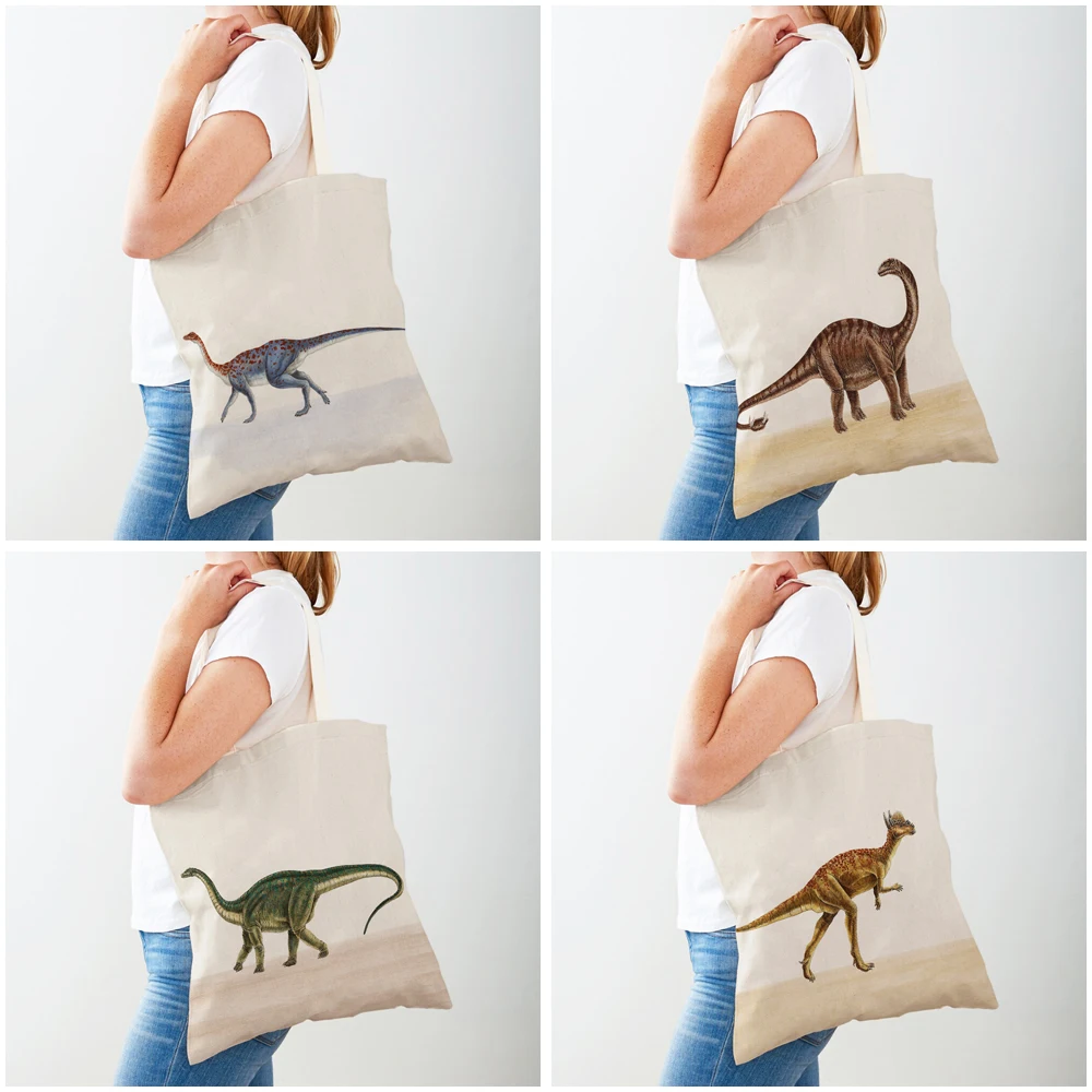 Bolsas de compras de dinosaurio Jurásico, bolso de viaje para niños de ambos lados, bolso de compras de lona con estampado de animales bonitos de dibujos animados, bolso informal