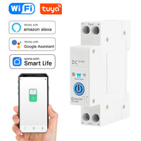 DC Circuit Breaker WIFI Smart Switch DC Timer Relay Status Real-time Monitoring Remote Control Circuit Breaker Smartlife/TUYA