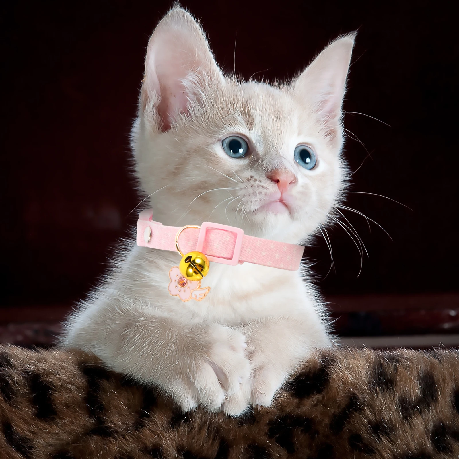 

2pcs Collar Collar Bells Adjustable Kitten Collars For Boys Jingle for Girl Cats Kitten Lightweight Pet Training Christmas