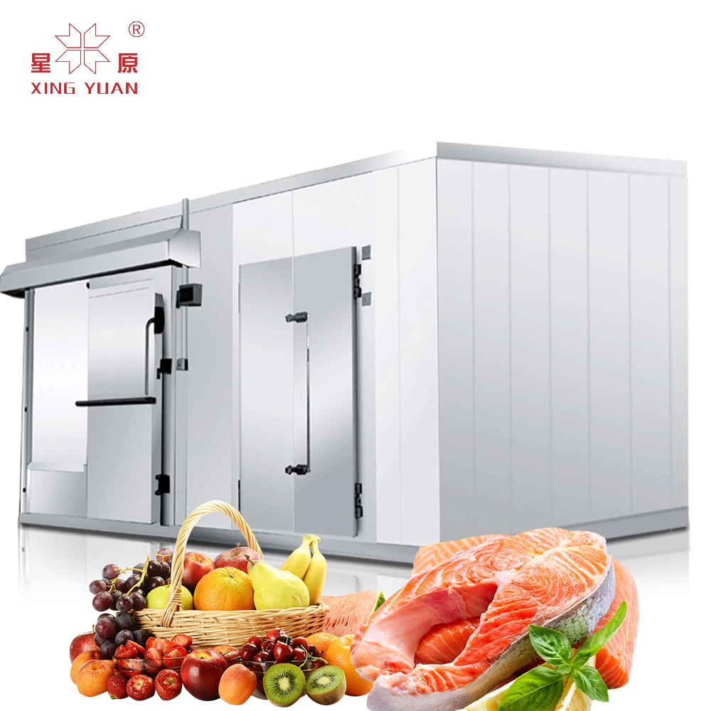 

Walk in Cold Freezer Room Price Cold Store for Fruit and Vegetables Freezer Cold Room