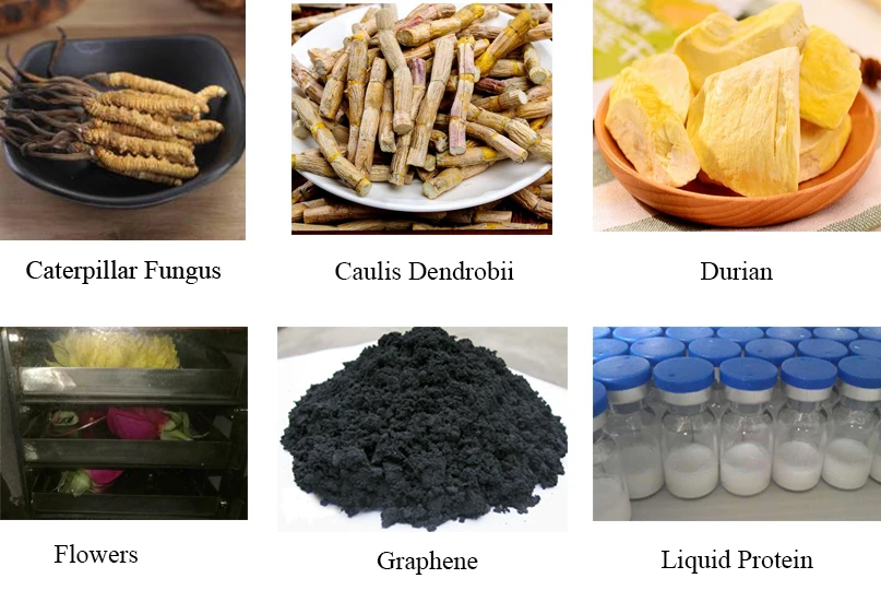 

Lab Electric Heating Series Drying hine/Lyophilizer From Lab To Production