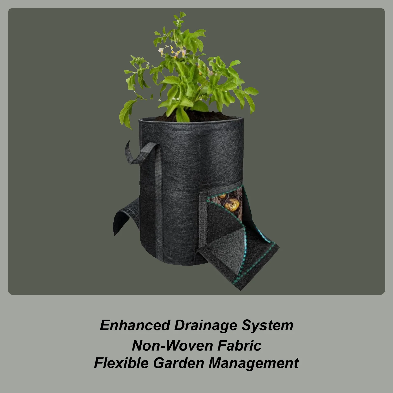 10 Gallons 15 Gallons Potato Grow Bags Non-Woven Carrot Planting Container Felt Fabric Tomato Planter Tomato Planting Bucket