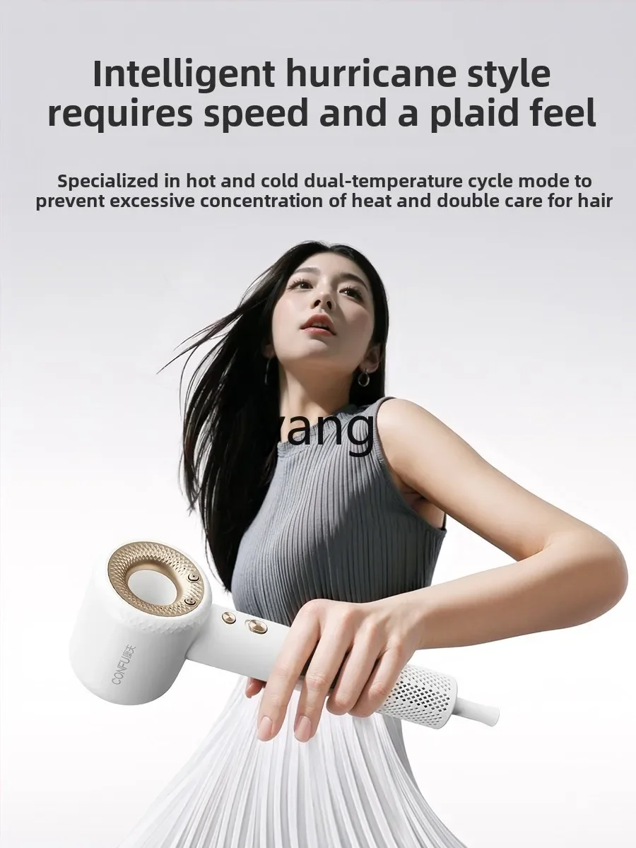 LH   high-speed hair dryer household high-power plasma hair care F9 hair dryer