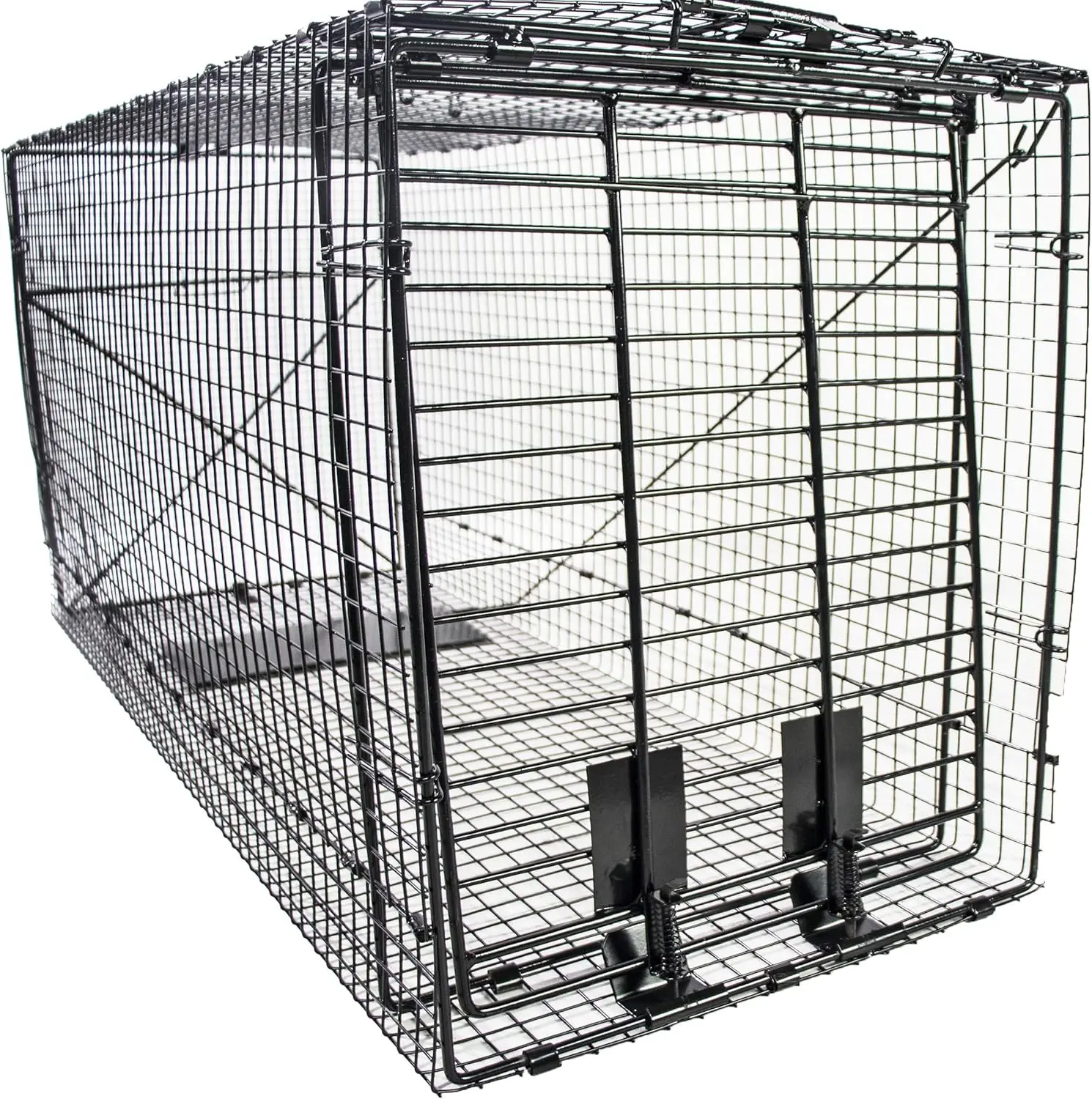 

50 Inch Folding Humane Animal Trap - Safe for Dogs, Raccoons, Cats, Groundhogs, Opossums, Coyote, Bobcat - 50"x20"x26"