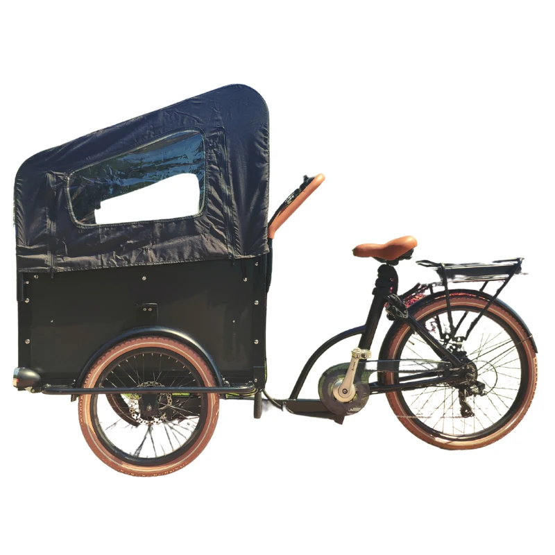 New Design 250W 36V  Tricycle Electric Bike 3 Wheels Cargo E Bike  Family Multifunction Delivery Bicycle