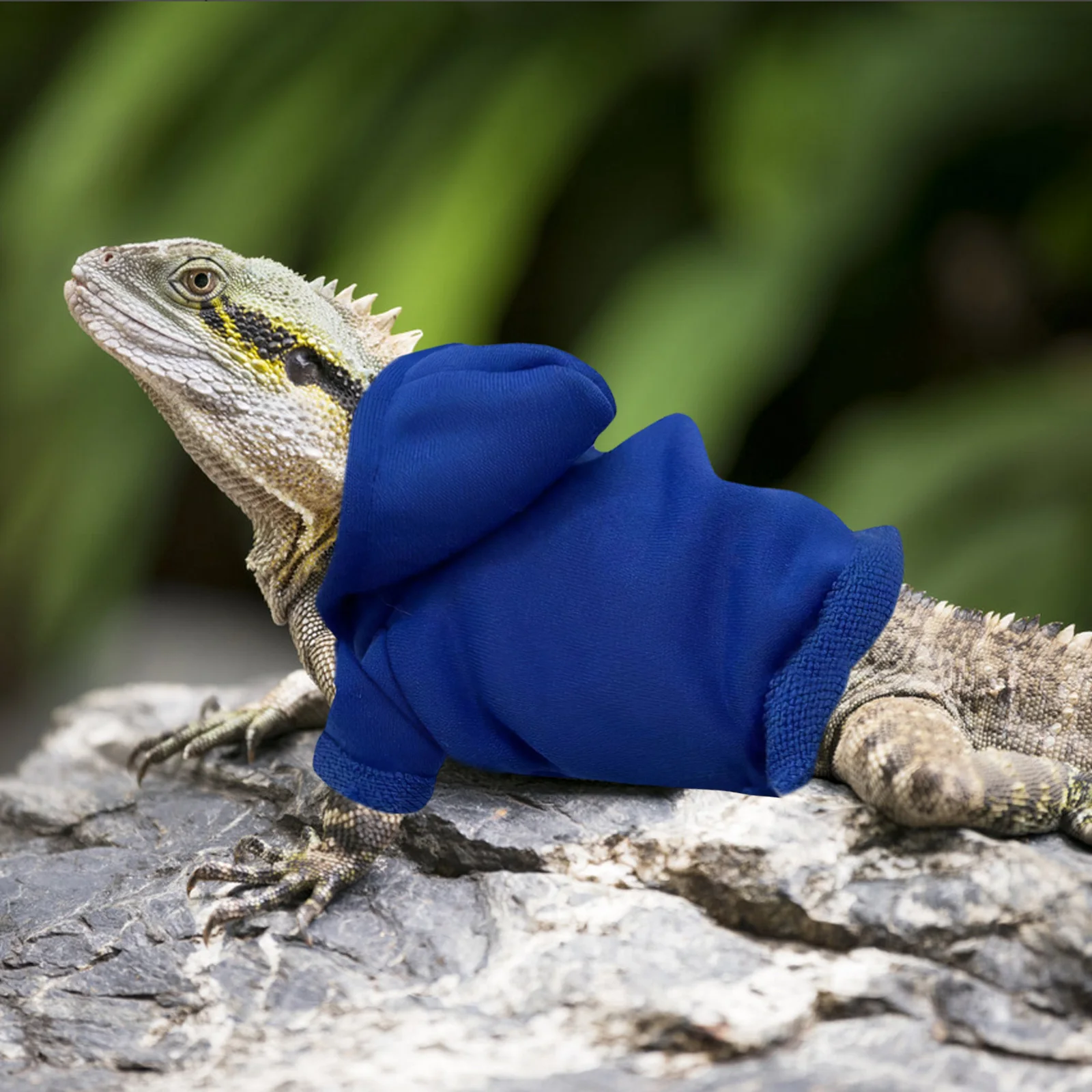 

Hoodies Pet Lizard Costume Cotton Gecko Bearded Dragon Outfits Animal Dress Sweater Fashion Party