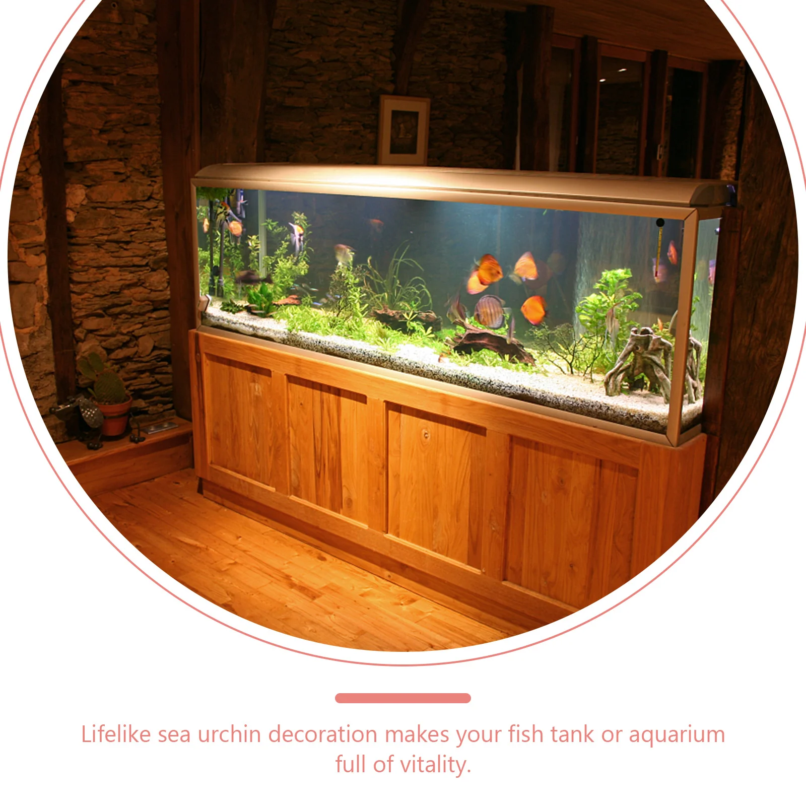 

5Pcs Natural Urchin Shell Sea Urchin Crafts for Aquarium Decorations Fish Tank Accessories Desktop Home Garden Shell Craft