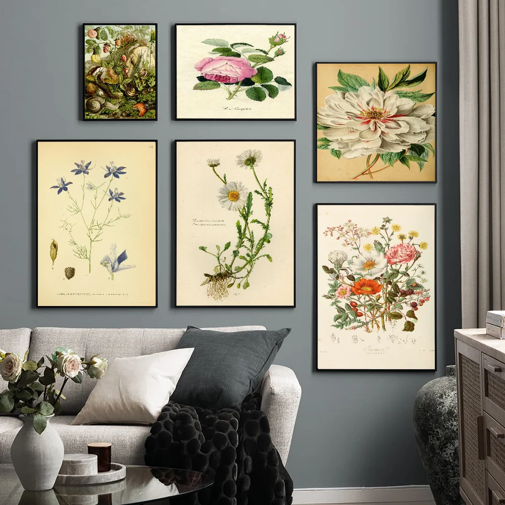 

New Botanical Illustration Self-adhesive Art Poster Whitepaper Prints Posters Artwork Home Decor