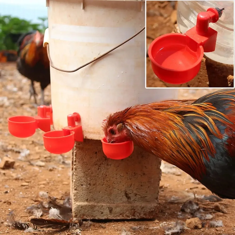 6-36pcs Automatic Chicken Waterer Bird Feeder Poultry Farm Drinking Bowl for Chicken Duck Goose Drinking Water Farm Supplies