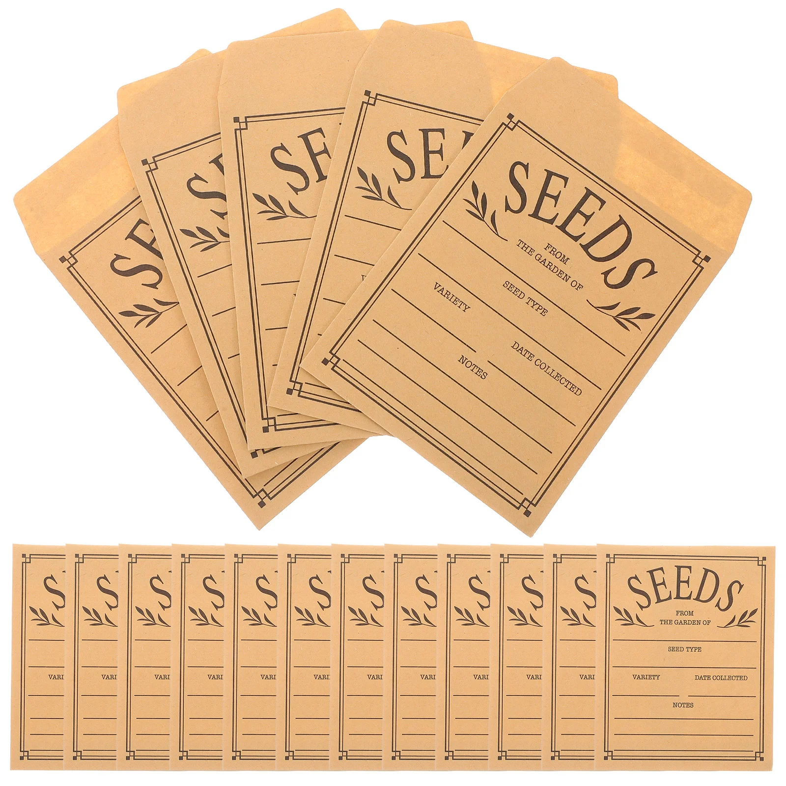 50 Pcs Paper See D Packets Kraft Coin Envelopes Convenient Seed Tiny Multi-use Seeds Blank