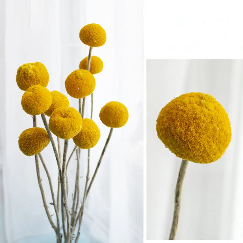 Factory Wholesale Craspedia Dried Flowers Preserve Dried Billy Balls Artificial Floral Plants Home Decor Christmas Decoration