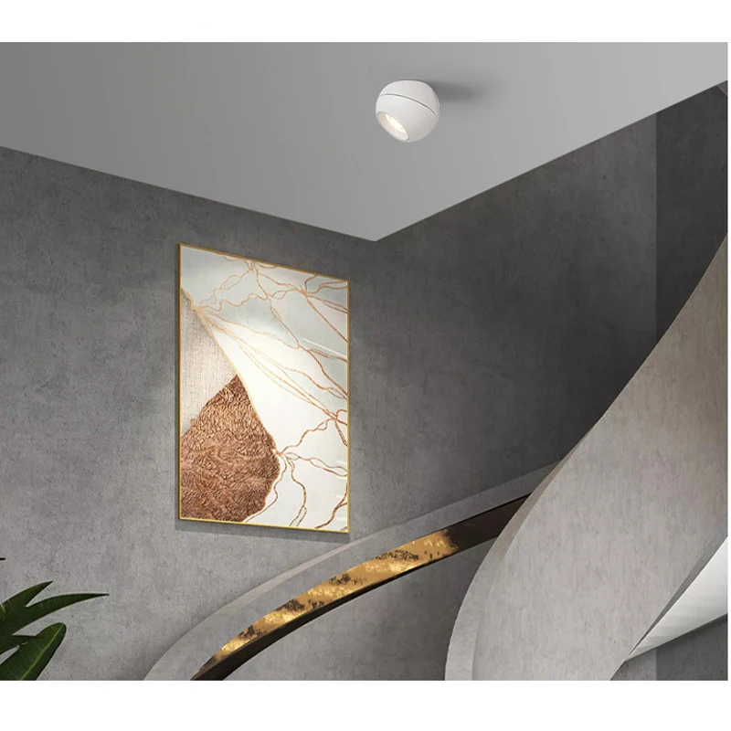 LED Track Light COB Spherical Track Spotlight Store Clothing Store Surface Mounted Downlight Commercial Lighting Downlight