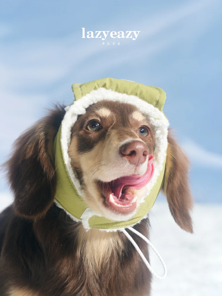 

Шапка-пилот Lazyeazy для домашних животных, теплая, защита от холода, осенне-зимняя новинка, универсальный аксессуар для собак...