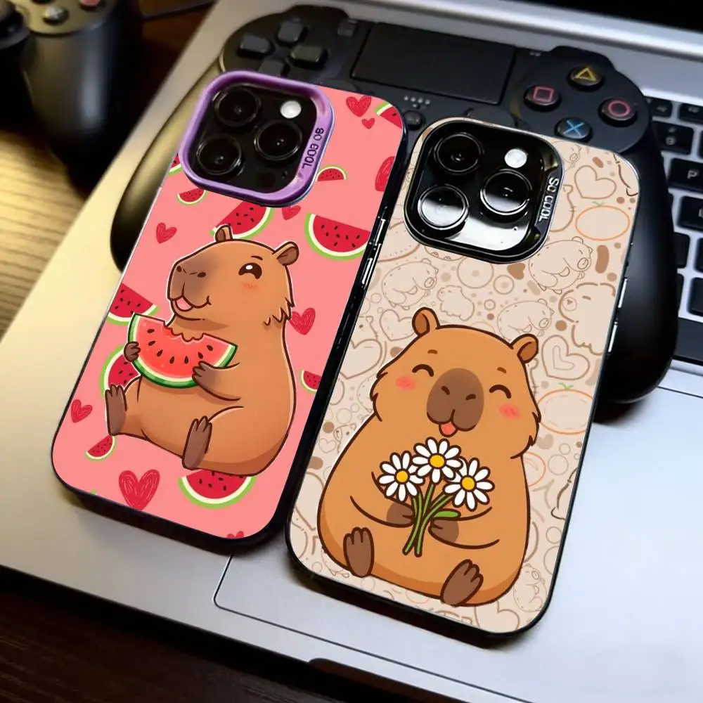 Capibara Phone Case For iPhone 17,16,15,14,13,12,11 Plus,Pro Max,XS,Colorful Silver Black Cover
